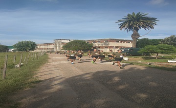 Prueba de ingreso 2019 para los tenientes alumnos de la E.C.P.O., foto 2