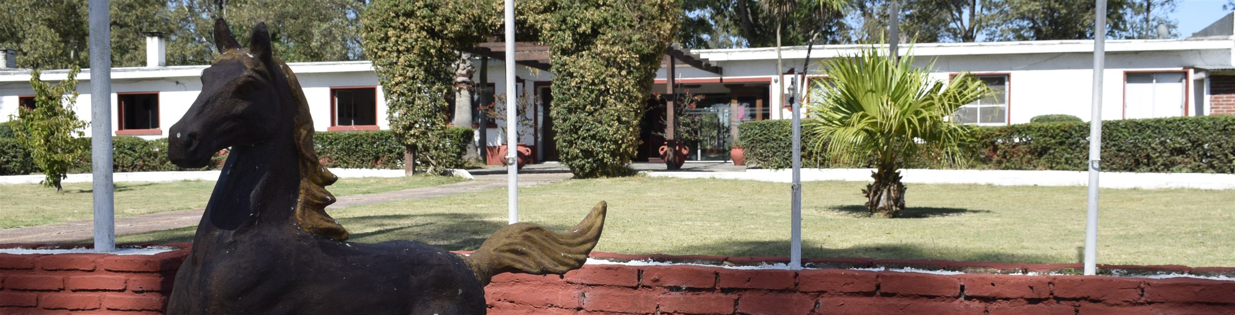 Acto por el 76º aniversario de la Escuela de Equitación del Ejército